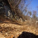 태백고원 700 산소길 이미지