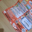 찌꼬뽀꼬 광안펫스테이션 2호점 | 부산수영역 안에있는 광안리 애견카페 피피피 가야하는 이유!