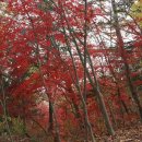 건지공원 이미지