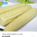 수암농장 | 내돈내산, 겨울에 더 맛있는 옥수수 구입후기(괴산장터 수암농장, 냉동괴산대학찰옥수수)
