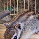 꽃피는 산골 이미지