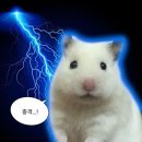 쎄이썸띵 | 디스클로저 데이 악플 달기