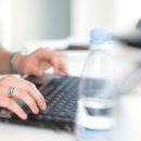 늑대와 여우 컴퓨터 이미지