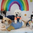 아리네개치원 이미지