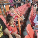 서귀포월드컵경기장 | 제주SKFC 직관 후기｜서귀포 월드컵경기장 위치·가는 길·티켓 예매 꿀팁