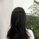 센트럴 메디칼 | 평택 미용실 추천 동삭동 아이디헤어 지제센트럴점 염색!