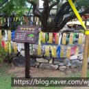 당산화원 이미지