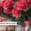 풀빛스튜디오