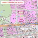 에스에프지 네이버블로그