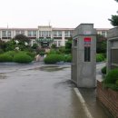 유등초등학교 이미지