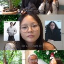 추성훈 카카오 검색결과