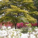 일규농장 이미지