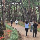 솔바람사이길 이미지