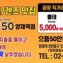 으뜸50안경양재역점 이미지