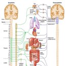 경희대성한의원 이미지