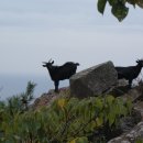 수경민박 이미지