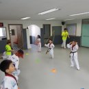 용인대용전태권도 이미지