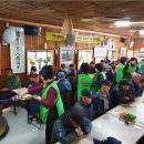 분도와안나 개미꽃동산 이미지