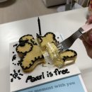 쁘띠하개 이미지