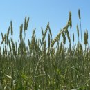 소리의 향연 이미지