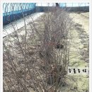 등불농장 이미지