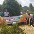 구산태양광발전소 이미지