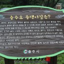 충주호 종댕이 이미지