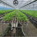 동빈농장 이미지