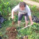 평강농장 이미지