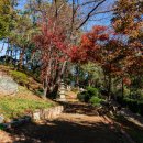 구덕문화공원 이미지