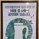 롯데리아 대구성당DT점 이미지