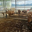 병길농장 이미지