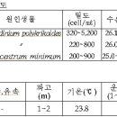 적조생물 거제시 해안까지 진출 이미지