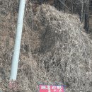 신당3로1길-3 | 5대째 내려오는 서산점집, 소름 돋았던 태을신당 솔직후기