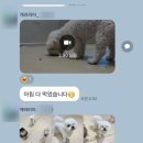 개러리아 이미지