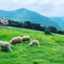 진섬농장 이미지