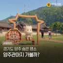 양주시 종합관광안내센터 | [서포터즈] 경기도 양주 가볼만한 곳, 경기도 양주 숨은 명소‘양주관아지’가볼까?