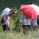 공원커피숍