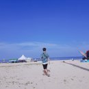 구산솔밭 이미지