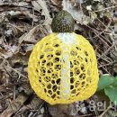 망태수퍼 이미지