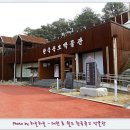 대전 효 월드 --- 한국 족보박물관 이미지