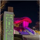 큰나무 | 대전 야경 명소 보문산 큰나무 전망대 솔직 후기