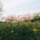 회수동-4 이미지