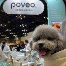 (주)메가피드 이미지