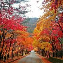 우두산민박