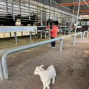 서귀포제일속내과 의원 이미지