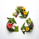 향동숲내초등학교 이미지