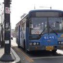 시내버스삼거리 이미지