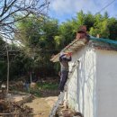 대상전기 이미지