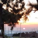 제주무릉도원집 이미지